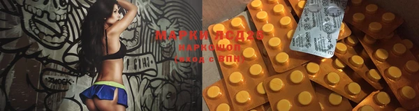 меф Арсеньев