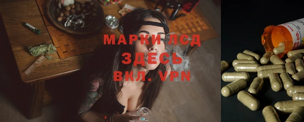 спиды Аркадак